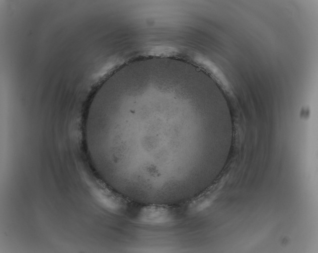 X0000094440354200711081254