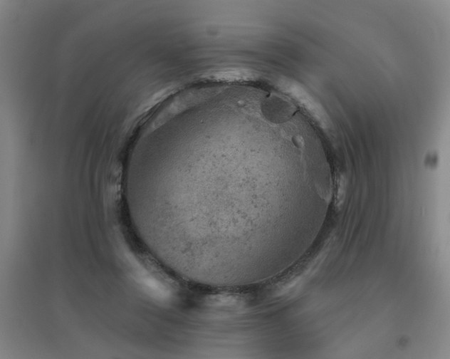 X0000094440356200711081254