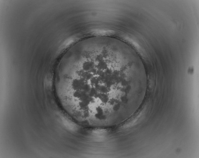 X0000094440357200711081254