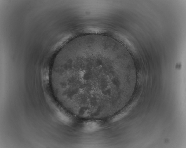 X0000094440358200711081254