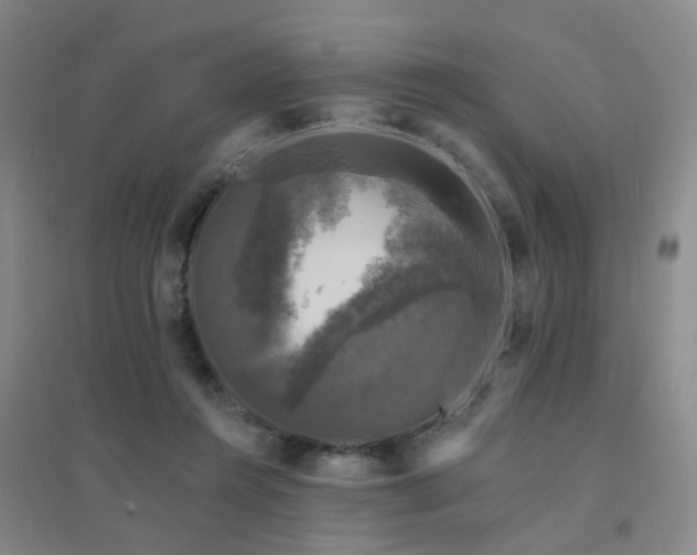 X0000094440360200711081254