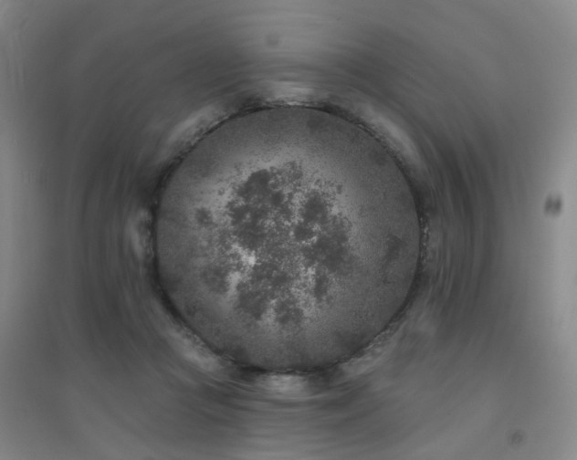 X0000094440361200711081254