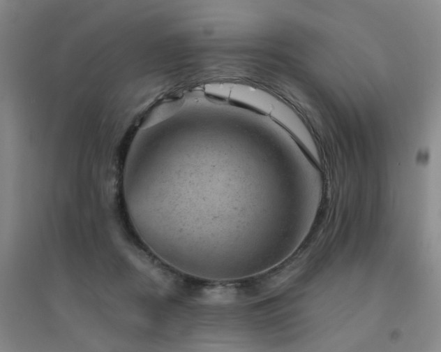 X0000094440362200711081254