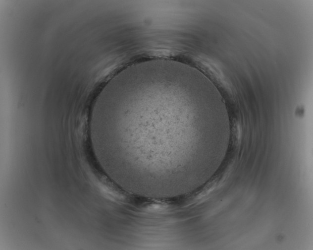 X0000094440364200711081254