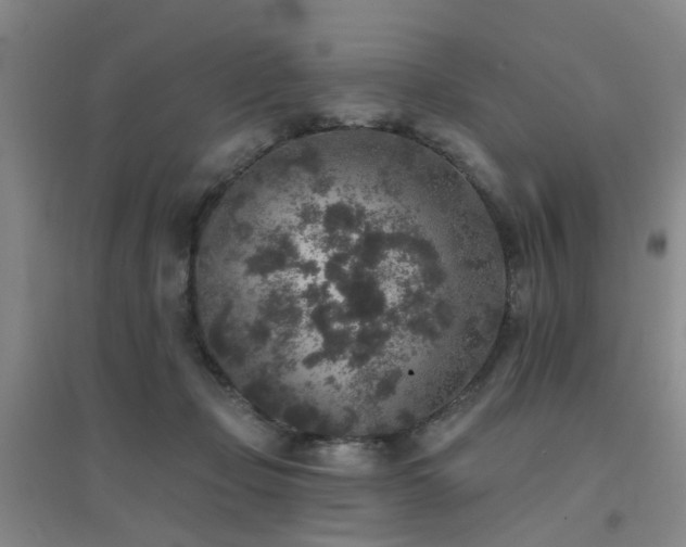 X0000094440365200711081254