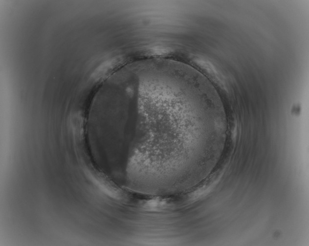 X0000094440366200711081254