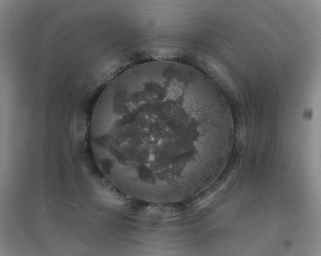 X0000094440367200711081254