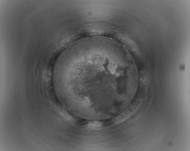 X0000094440369200711081254