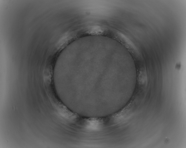 X0000094440370200711081254