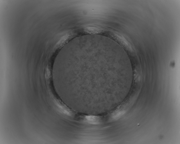 X0000094440371200711081254