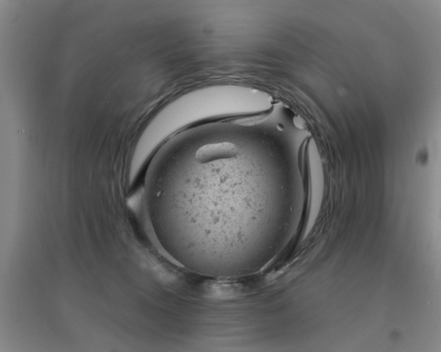 X0000094440372200711081254