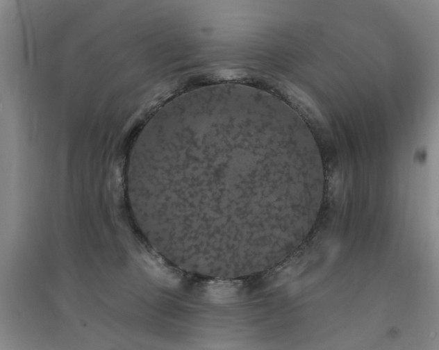 X0000094440373200711081254