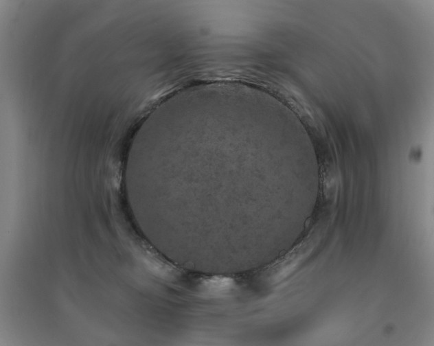 X0000094440374200711081254