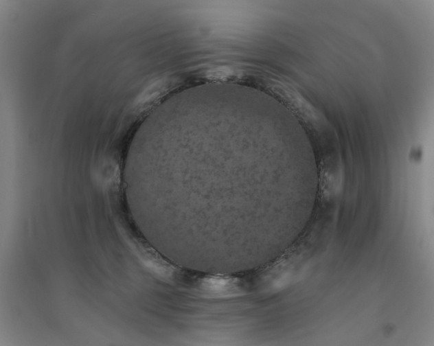X0000094440375200711081254