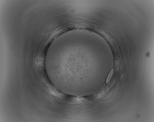 X0000094440379200711081254