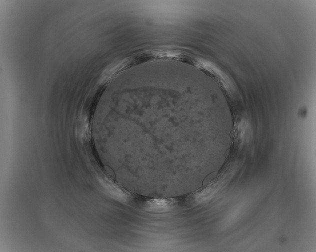 X0000094440381200711081254