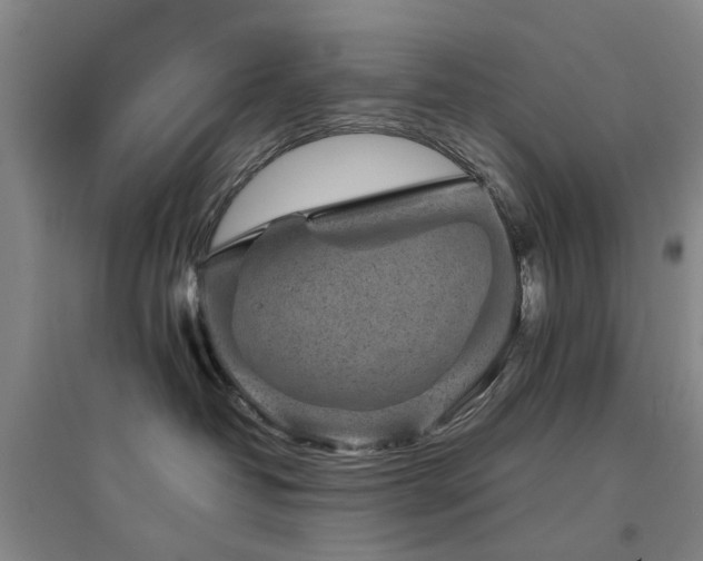 X0000094440382200711081254