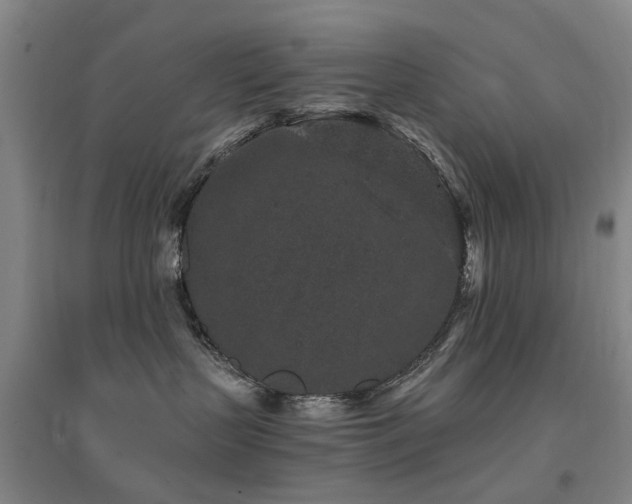 X0000094440383200711081254