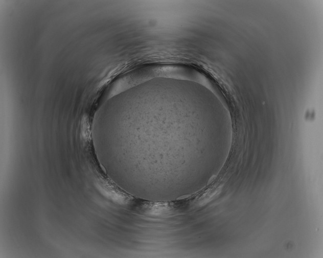 X0000094440384200711081254
