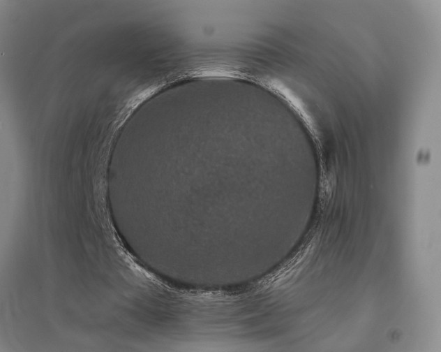X0000094440385200711081254