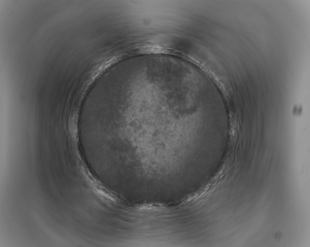 X0000094440386200711081254