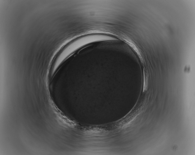 X0000094440387200711081253