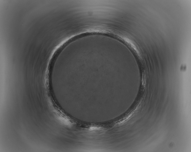 X0000094440388200711081253