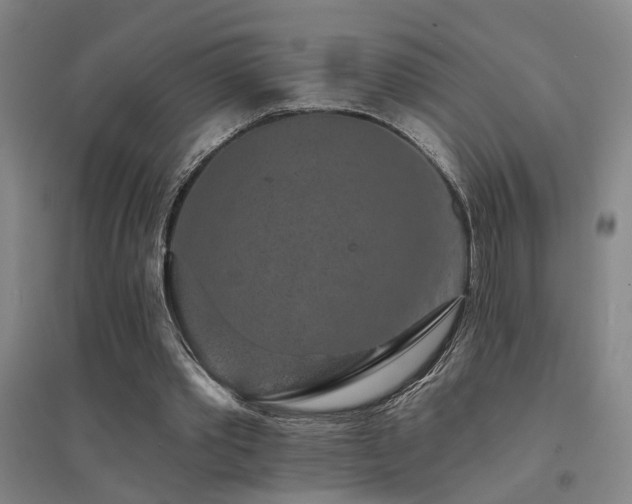 X0000094440389200711081253