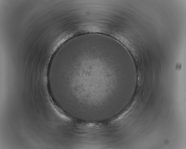 X0000094440390200711081253