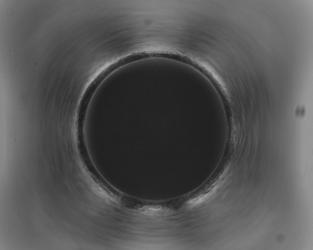 X0000094440391200711081253