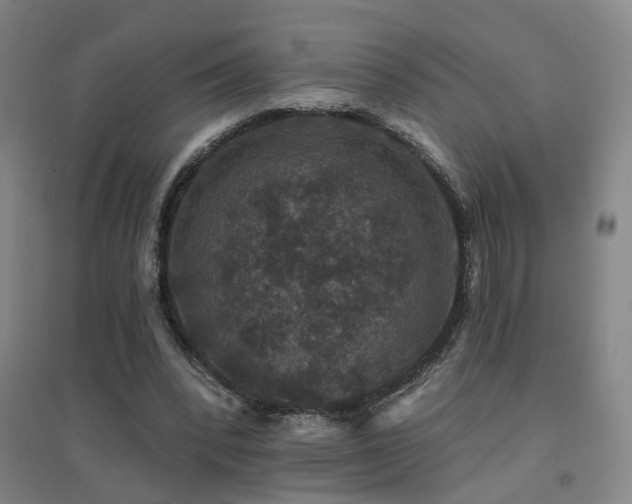 X0000094440392200711081253