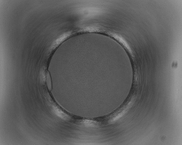 X0000094440393200711081253