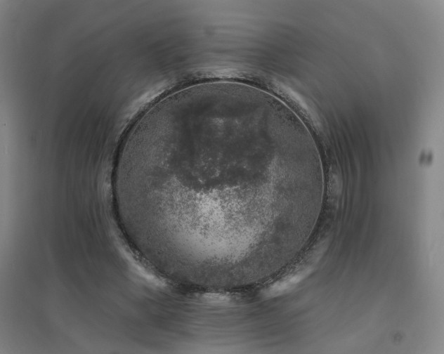 X0000094440394200711081253