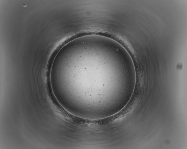 X0000094440395200711081253