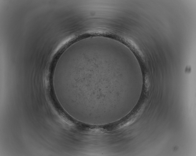 X0000094440396200711081253