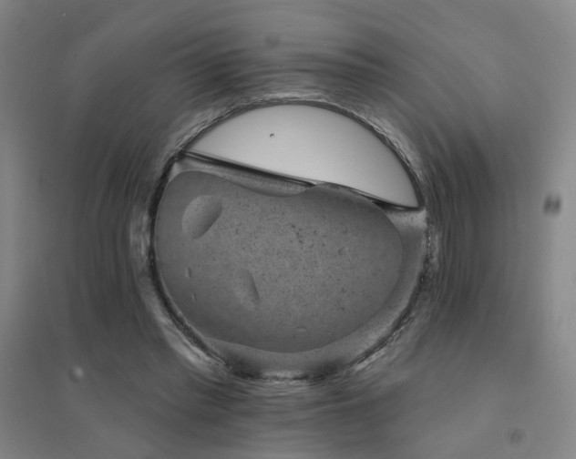 X0000094440397200711081253