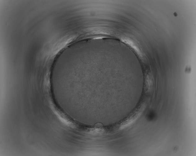 X0000094440398200711081253