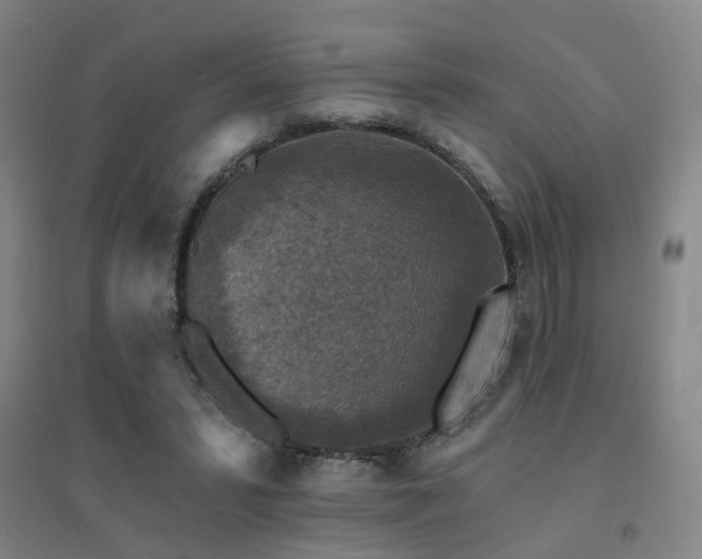 X0000094440399200711081253