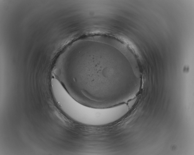 X0000094440401200711081253