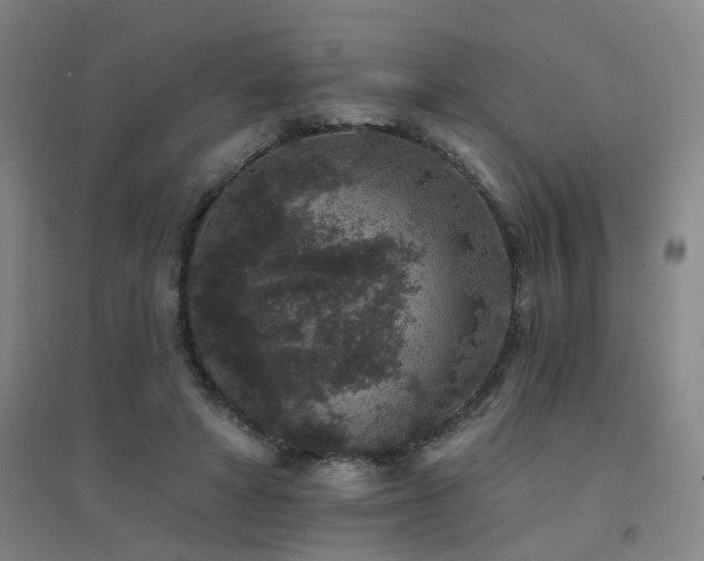 X0000094440402200711081253