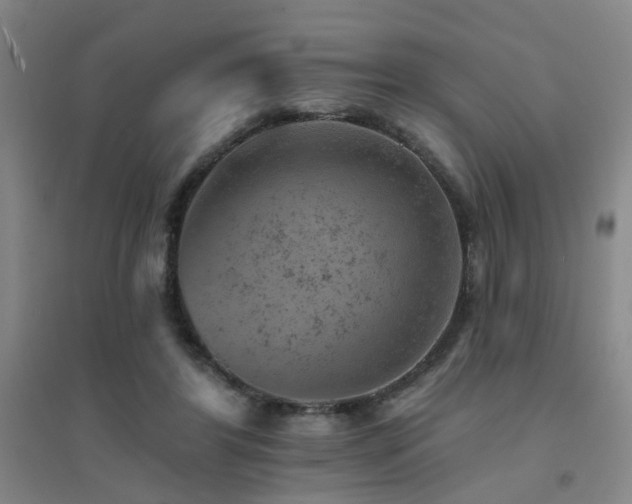 X0000094440404200711081253