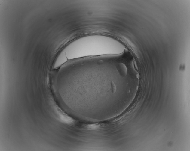 X0000094440405200711081253