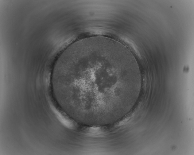 X0000094440406200711081253