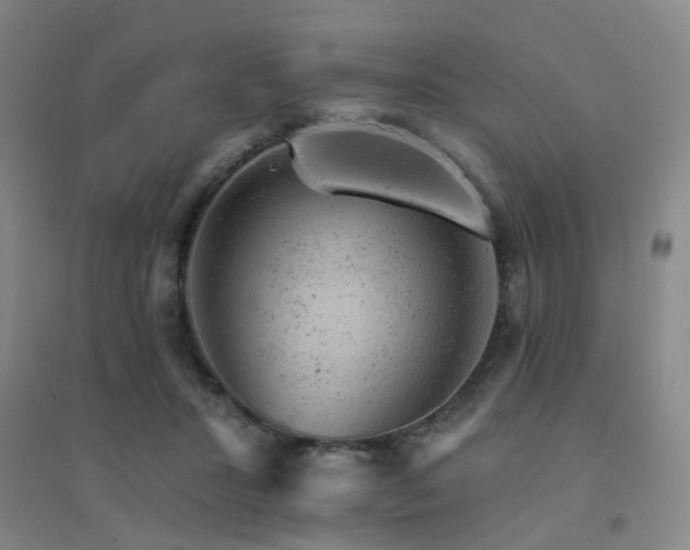 X0000094440407200711081253