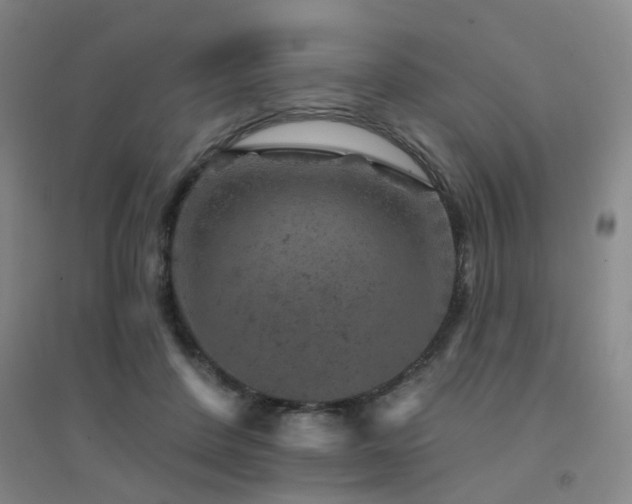 X0000094440408200711081253