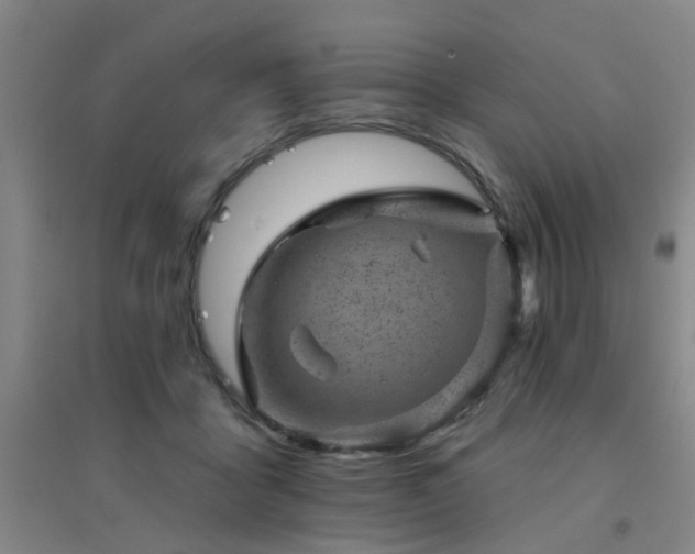 X0000094440411200711081253