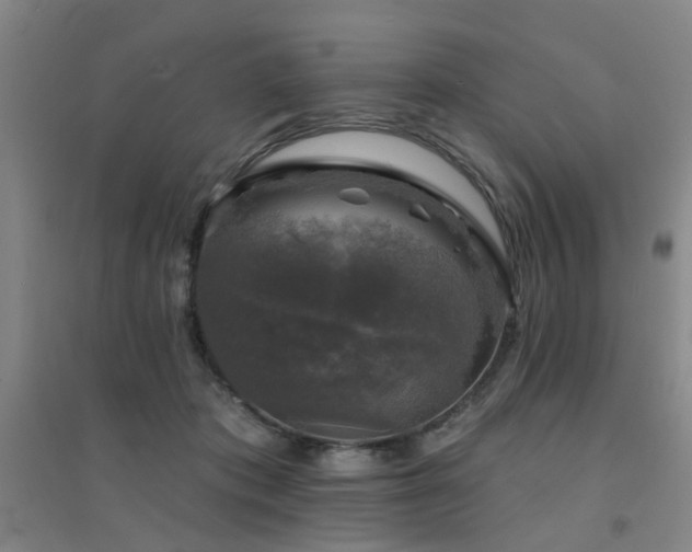 X0000094440413200711081253