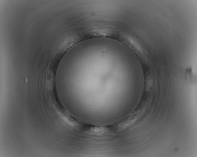 X0000094440414200711081253