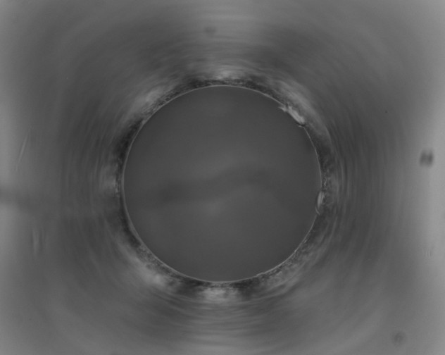 X0000094440415200711081253