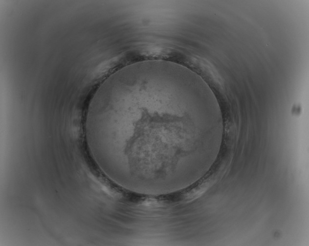 X0000094440416200711081253